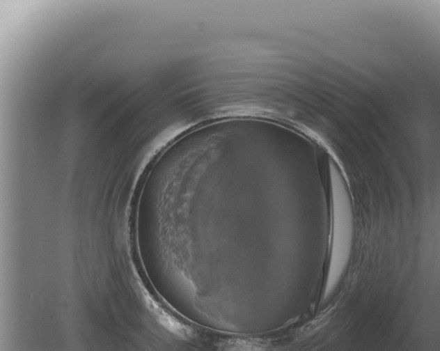 X0000080150995200612151825