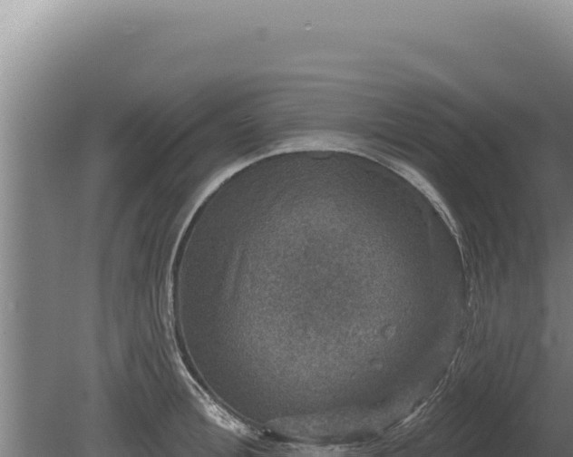 X0000080150996200612151825