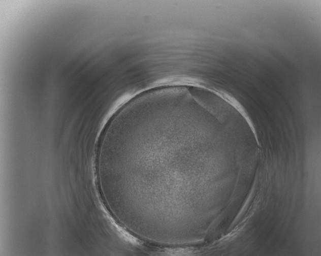 X0000080150997200612151825