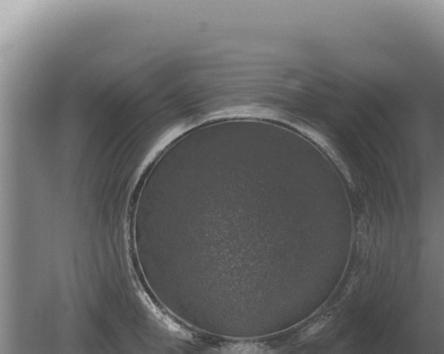 X0000080150998200612151825