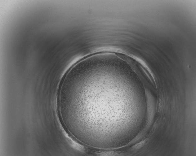 X0000080150999200612151825