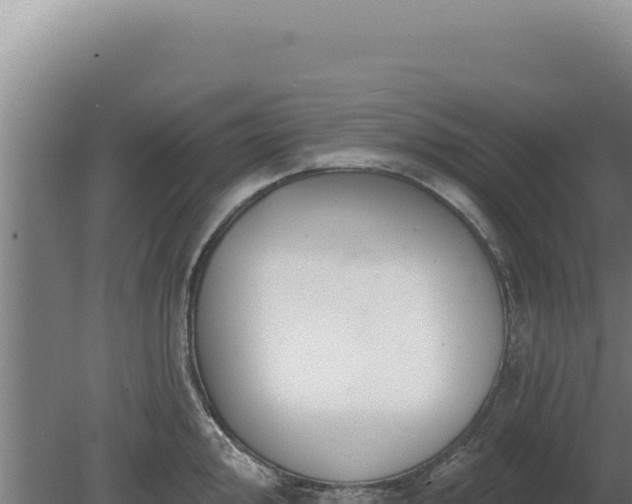 X0000080151000200612151825