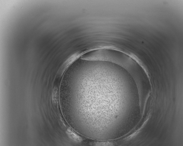 X0000080151001200612151825