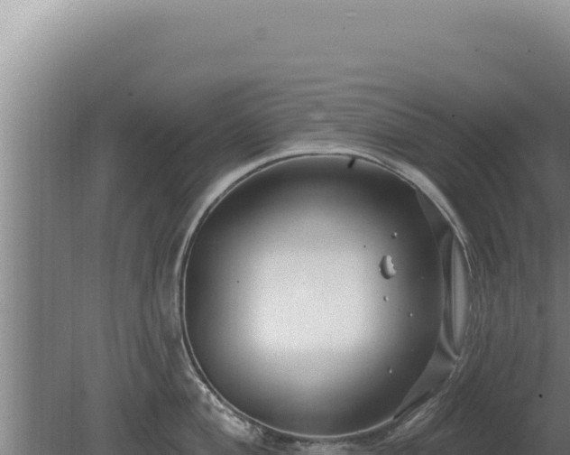 X0000080151004200612151825