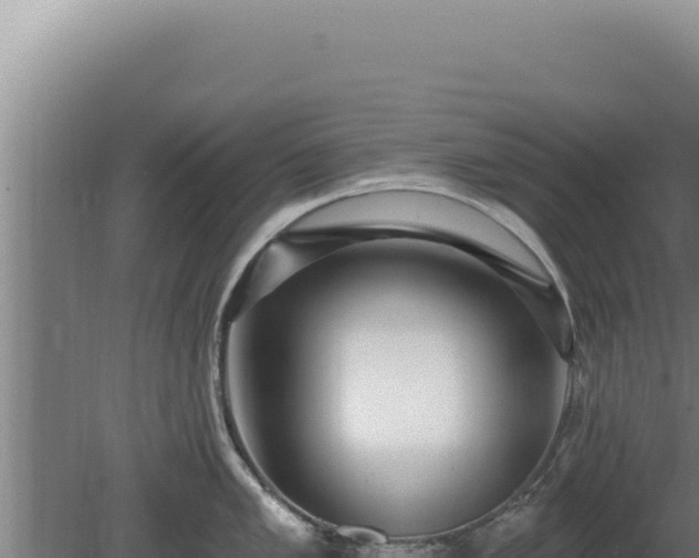 X0000080151005200612151825