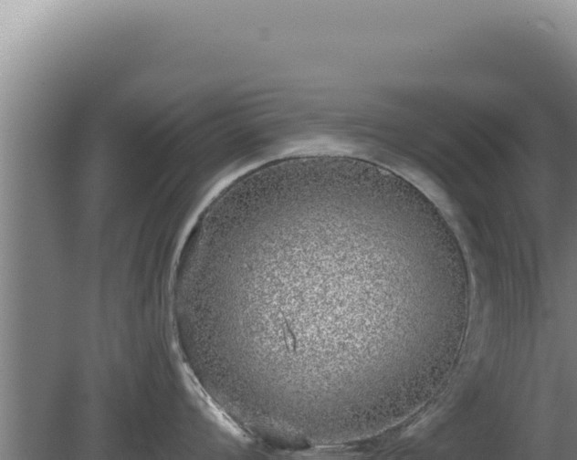 X0000080151008200612151825