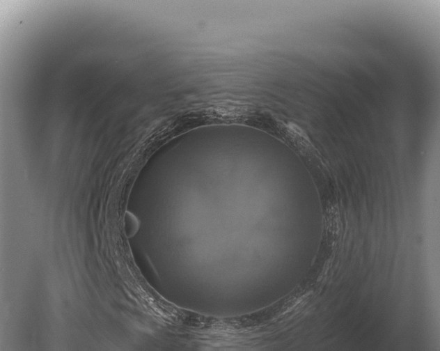 X0000080151009200612151824