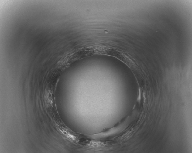 X0000080151010200612151824