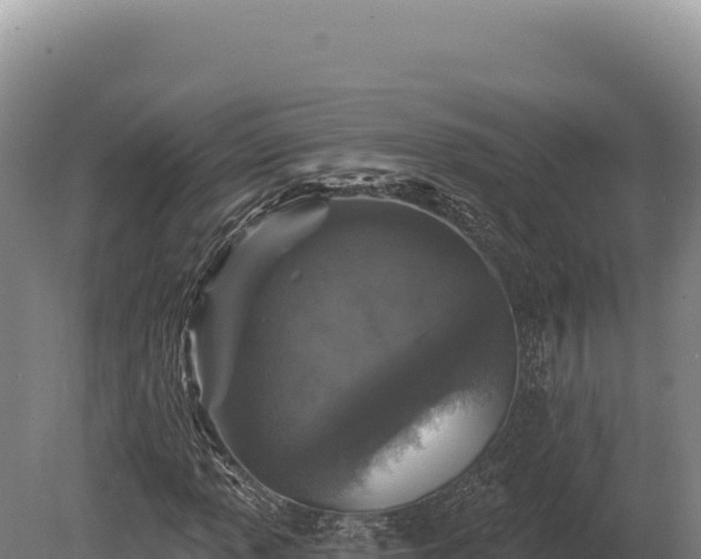 X0000080151013200612151824