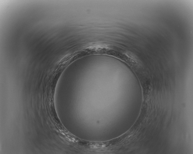 X0000080151014200612151824