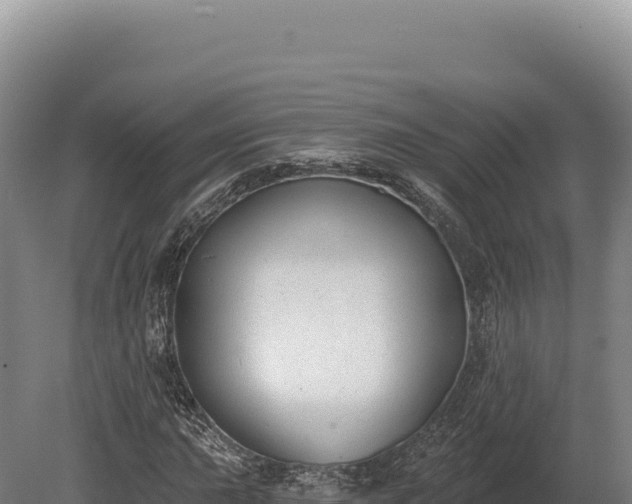 X0000080151015200612151824