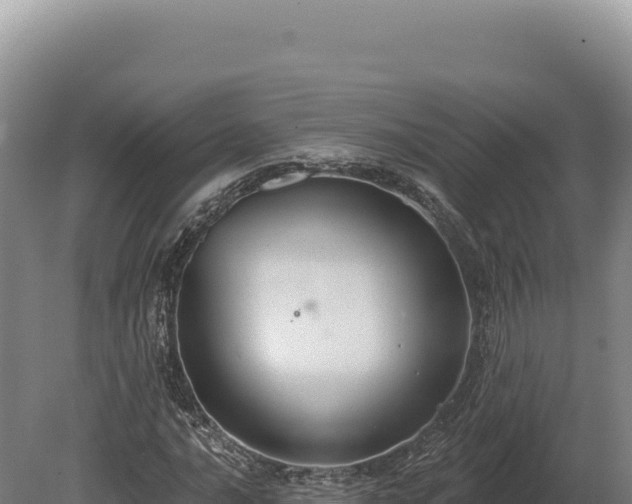 X0000080151016200612151824