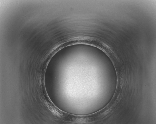 X0000080151017200612151824