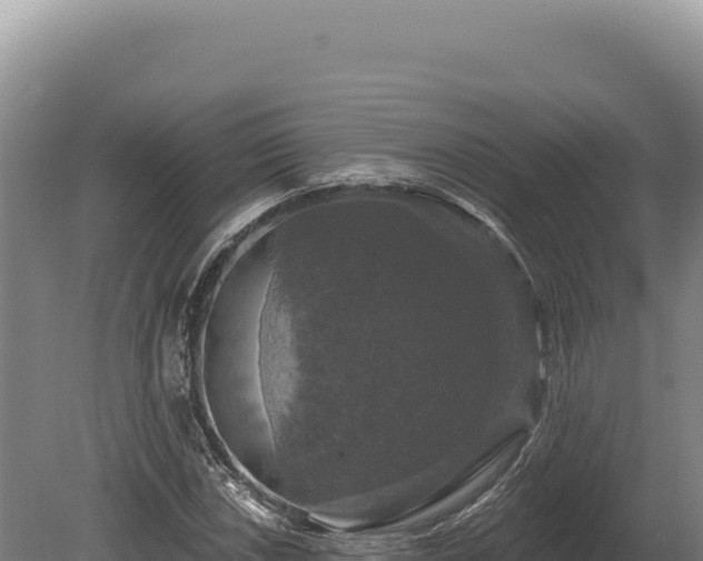 X0000080151018200612151824