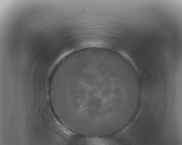 X0000080151019200612151824