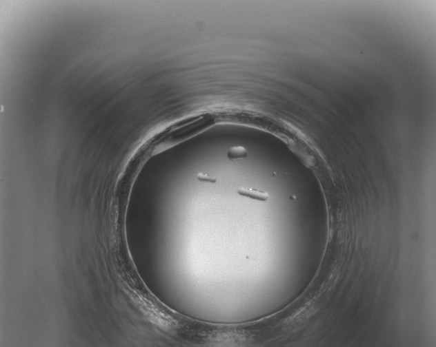 X0000080151021200612151825