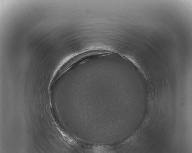 X0000080151022200612151825