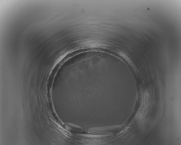 X0000080151023200612151825