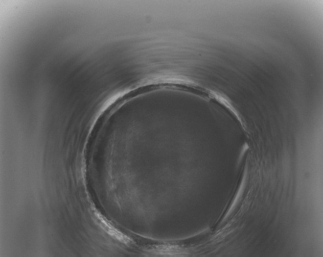 X0000080151024200612151825