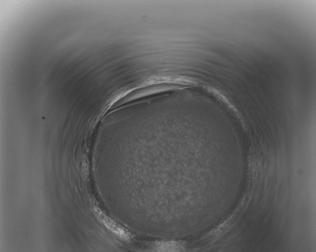 X0000080151025200612151825