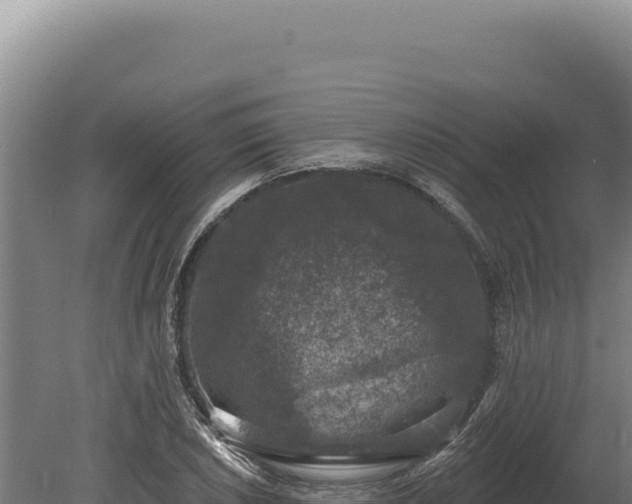 X0000080151026200612151825