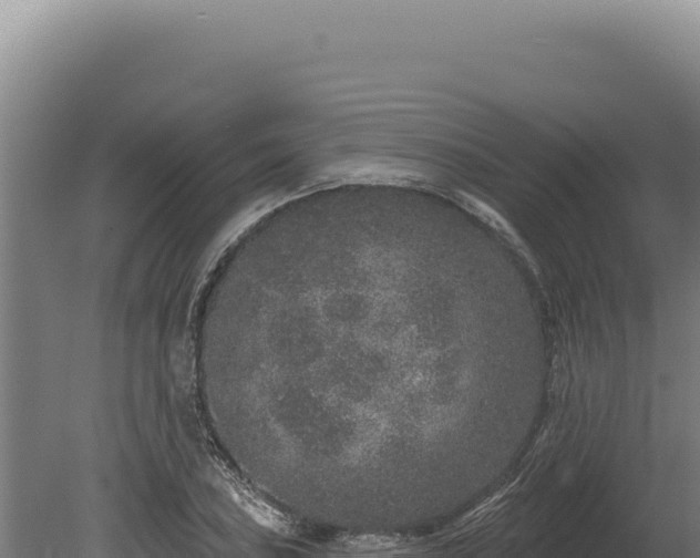 X0000080151027200612151825