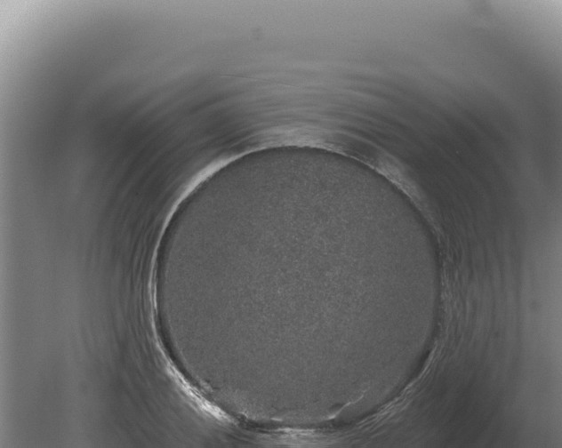 X0000080151028200612151825