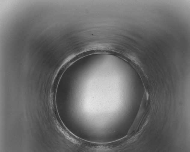 X0000080151029200612151825