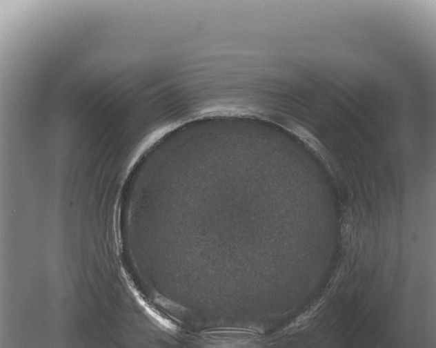 X0000080151030200612151825