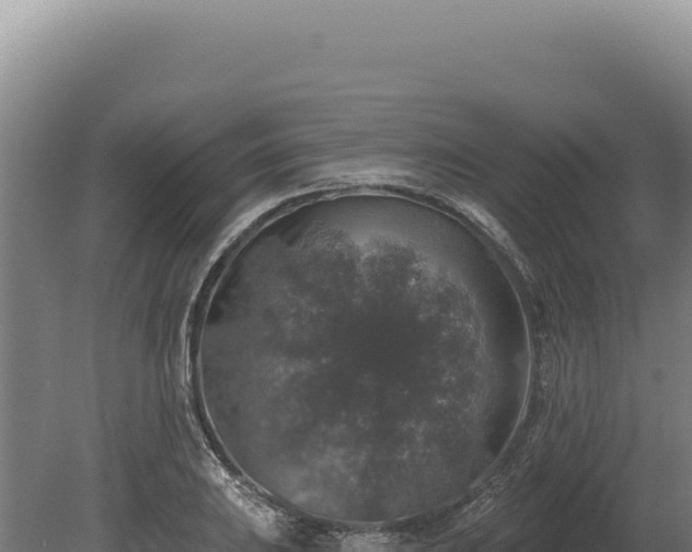 X0000080151031200612151825