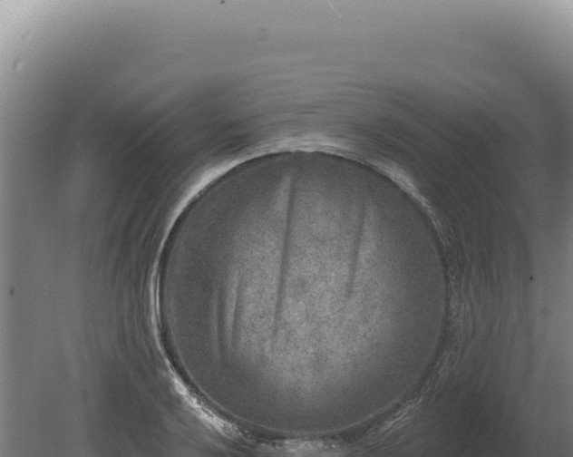 X0000080151032200612151825