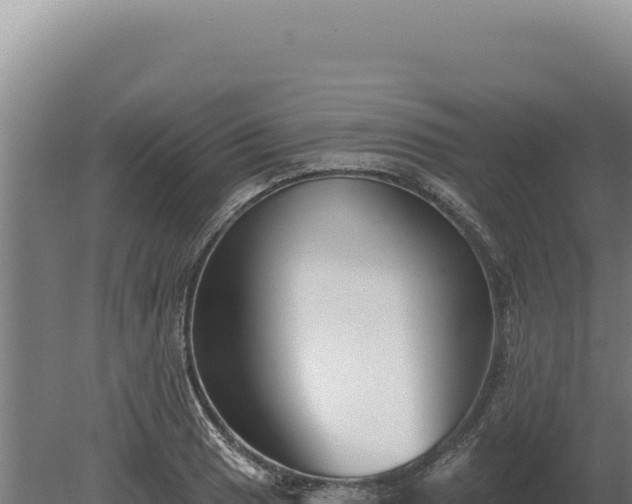 X0000080151033200612151825