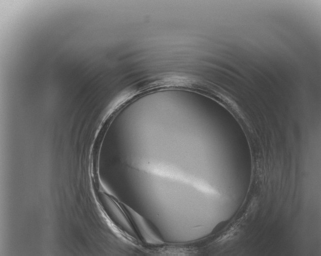 X0000080151034200612151825