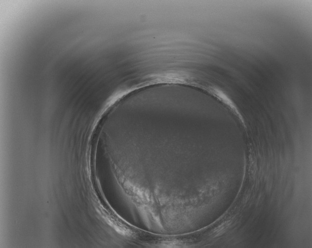 X0000080151035200612151825