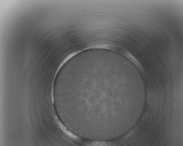 X0000080151036200612151825