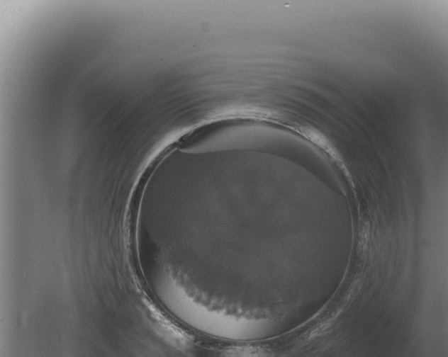 X0000080151037200612151825