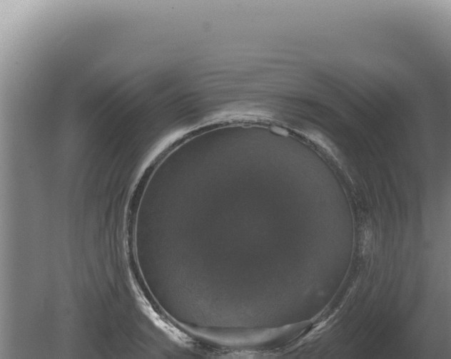 X0000080151038200612151825