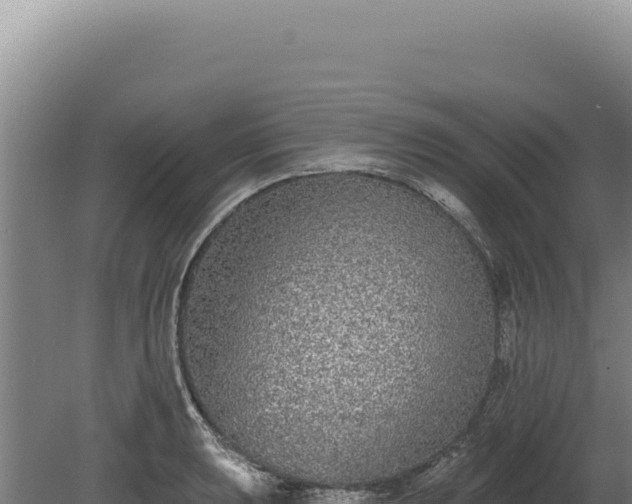 X0000080151039200612151825