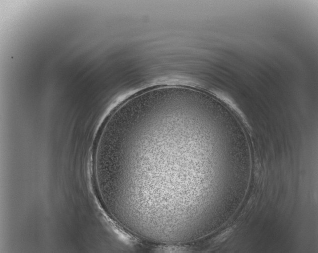 X0000080151040200612151825