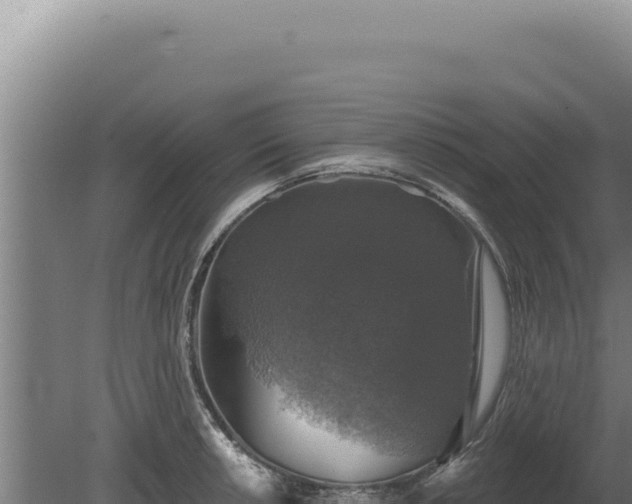 X0000080151042200612151825