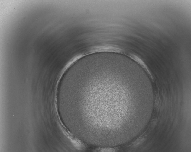 X0000080151043200612151825