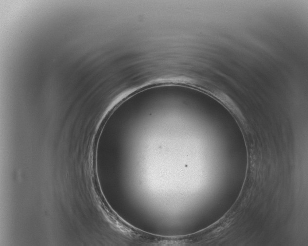 X0000080151044200612151825