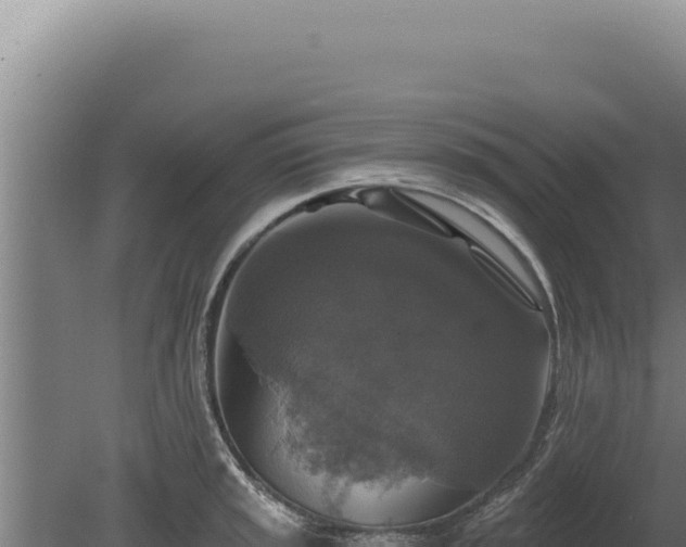 X0000080151045200612151825