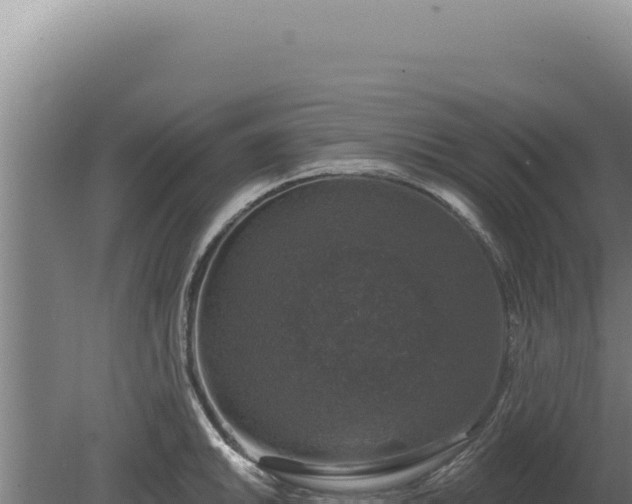 X0000080151046200612151825