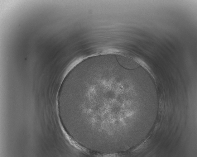 X0000080151047200612151825