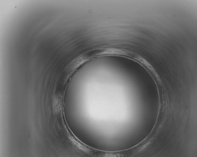 X0000080151049200612151825