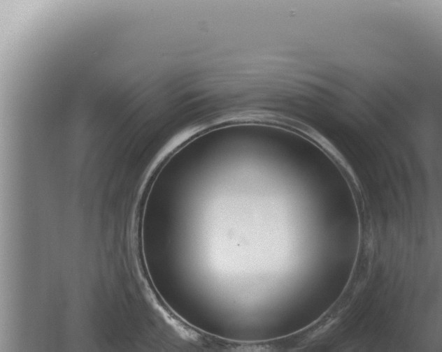 X0000080151053200612151825