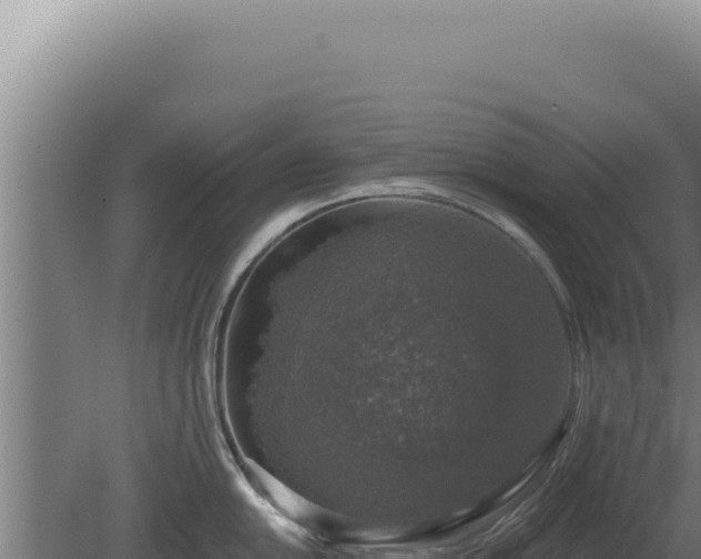 X0000080151054200612151825