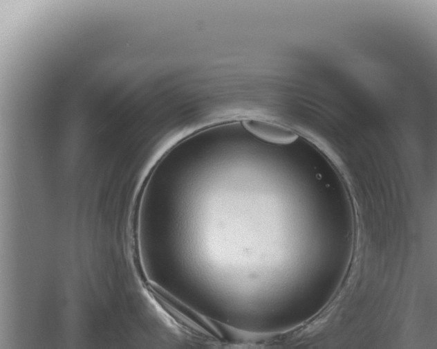 X0000080151056200612151825