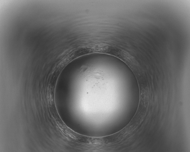 X0000080151058200612151824